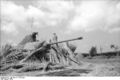 Bundesarchiv Bild 101I-477-2124-06A, Italien, Panzer V (Panther).jpg