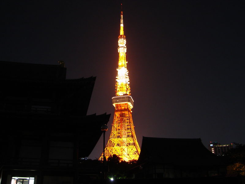 Soubor:Tokyo Tower night.jpg