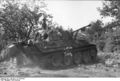 Bundesarchiv Bild 101I-722-0406-06A, Frankreich, Panzer V "Panther" im Gelände.jpg