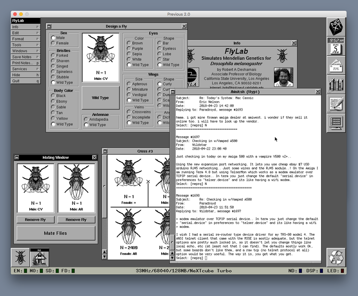 Soubor:BBSing and running FlyLab on an emulated NeXT Turbo Cube-Flickr.png