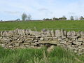 (Blocked up) sheephole in a drystone wall near High Scotch Hall - geograph.org.uk - 822095.jpg