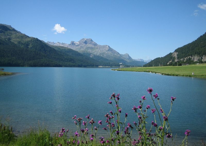 Soubor:Silvaplanersee1.jpg
