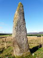 "Clach Biorach" (The Pointed Stone), Ardmore - geograph.org.uk - 915406.jpg