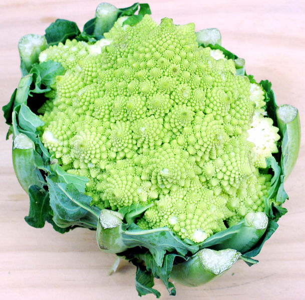 Soubor:Romanesco Broccoli.jpg