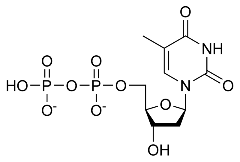 Soubor:DTDP chemical structure.png