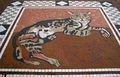 'Castle Cat' mosaic, Belfast Castle - geograph.org.uk - 958725.jpg