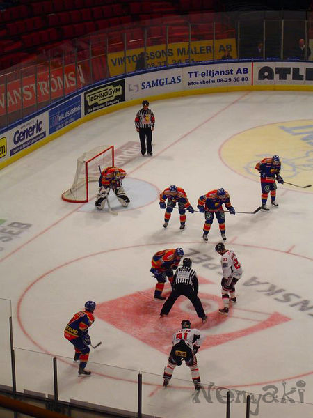 Soubor:Djurgarden vs Malmo Nov06.jpg