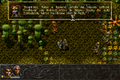 ALBION-DOSBox-037.png