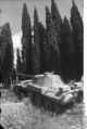 Bundesarchiv Bild 101I-477-2124-19A, Italien, Panzer V (Panther).jpg