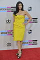 2013 American-music-awards-1065.jpg