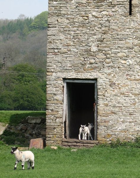 Soubor:'This is our baa -rn' - geograph.org.uk - 808673.jpg