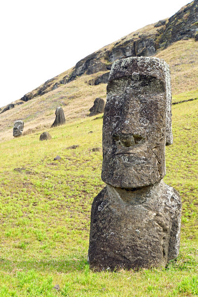 Soubor:Chile-03096-Looks so Serious-DJFlickr.jpg