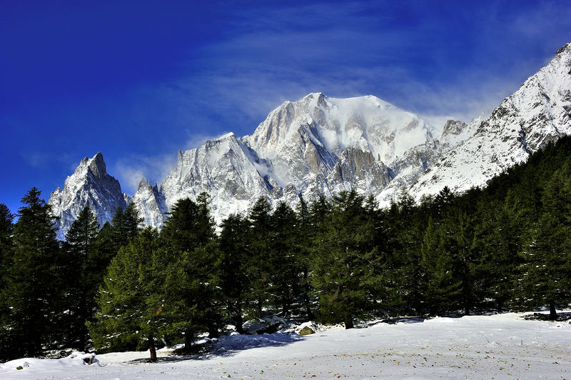 Soubor:Autunno Bianco.jpg