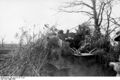 Bundesarchiv Bild 101I-311-0913-33A, Italien, getarnter Panzerjäger Nashorn-Hornisse.jpg