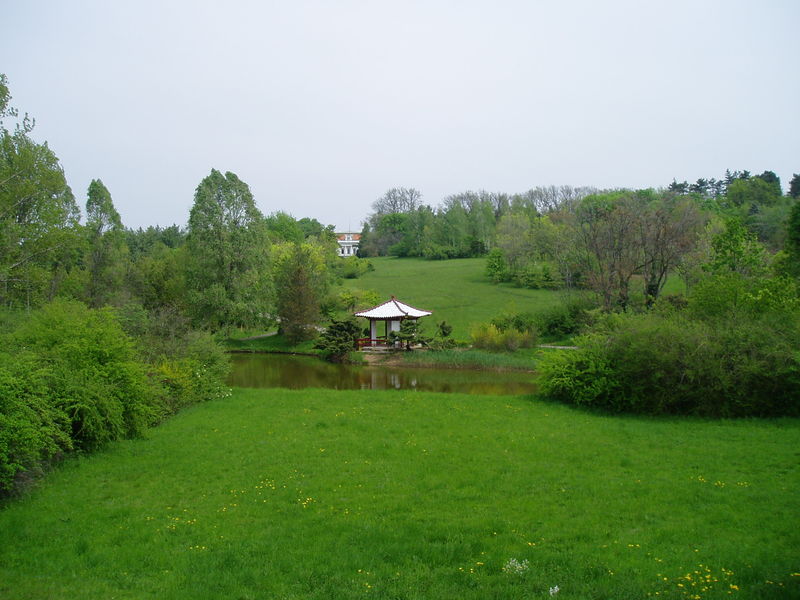 Soubor:Arboretum-sk1.JPG