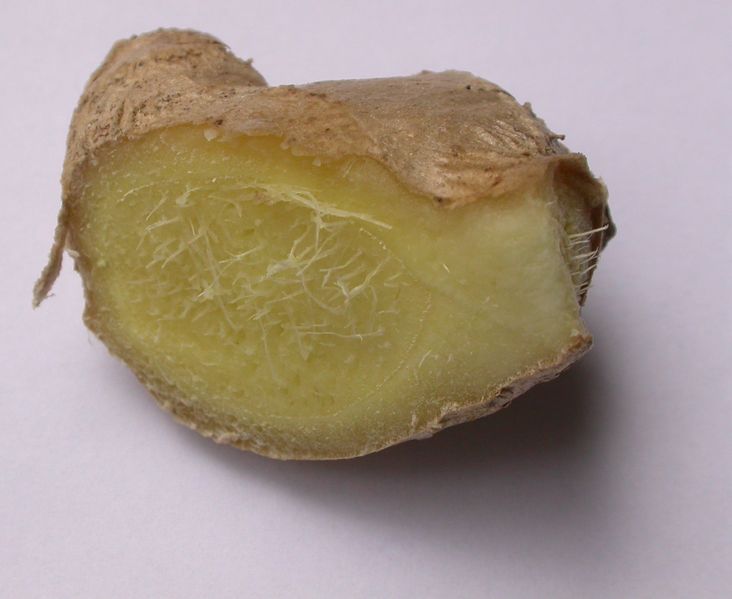 Soubor:Ginger-cross-section.jpg