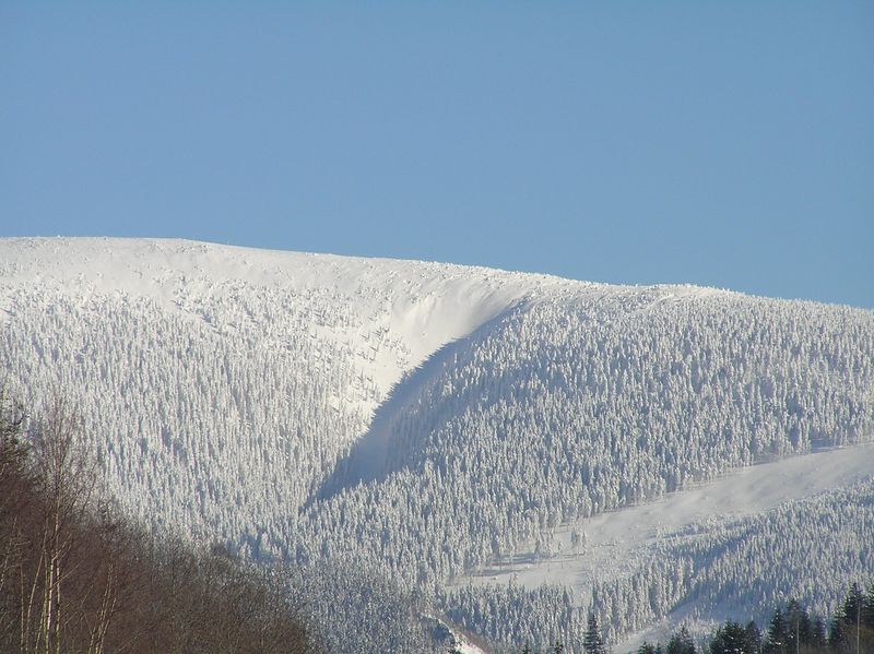 Soubor:Králický Sněžník.JPG