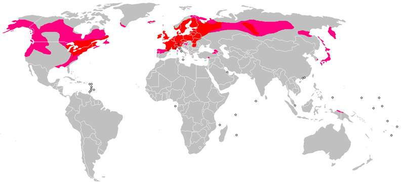 Soubor:Drosera rotundifolia Distribution Map.png