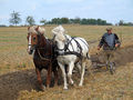 Náhled verze z 10. 4. 2014, 11:02