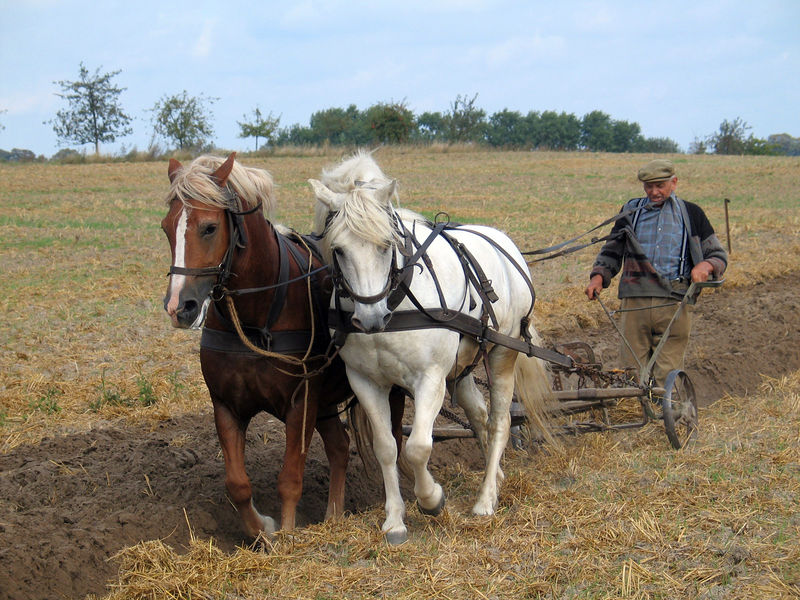 Soubor:Farmer plowing.jpg