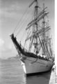 Bundesarchiv B 145 Bild-F018204-0003, Lissabon, Segelschulschiff "Gorch Fock".jpg