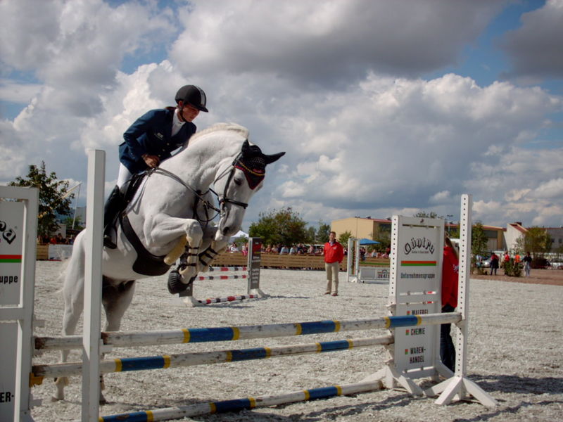 Soubor:Showjumping white horse.jpg