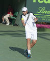 Andy Roddick 2012 FLICKR.jpg