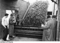 Bundesarchiv B 145 Bild-F004773-0002, Brühl, Zuckerfabrik.jpg