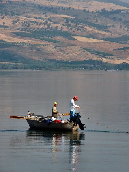 Soubor:FishingInYamKinneret.jpg