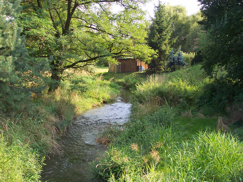 Soubor:Říčanský Creek, Prague Dubeč.jpg