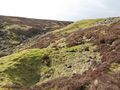 (A third) bell pit and ruin near the head of Whimsey Cleugh - geograph.org.uk - 1289327.jpg