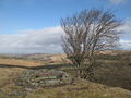 (And another) old mine shaft - geograph.org.uk - 720656.jpg