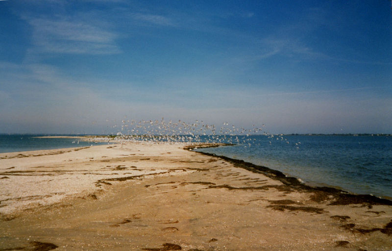 Soubor:Dzendzyk August 1997.jpg