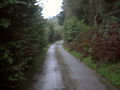 'Speeding' along the NCR 8-81 at 12 mph - geograph.org.uk - 968698.jpg