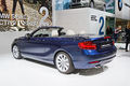 BMW Serie 2 Cabriolet - Mondial de l'Automobile de Paris 2014 - 009.jpg