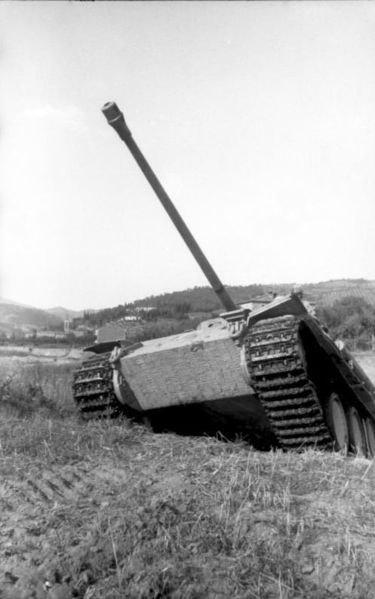 Soubor:Bundesarchiv Bild 101I-478-2165-09A, Italien, Panzer V (Panther) im Gelände.jpg