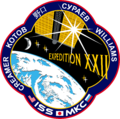 ISS Expedition 22 Patch.png