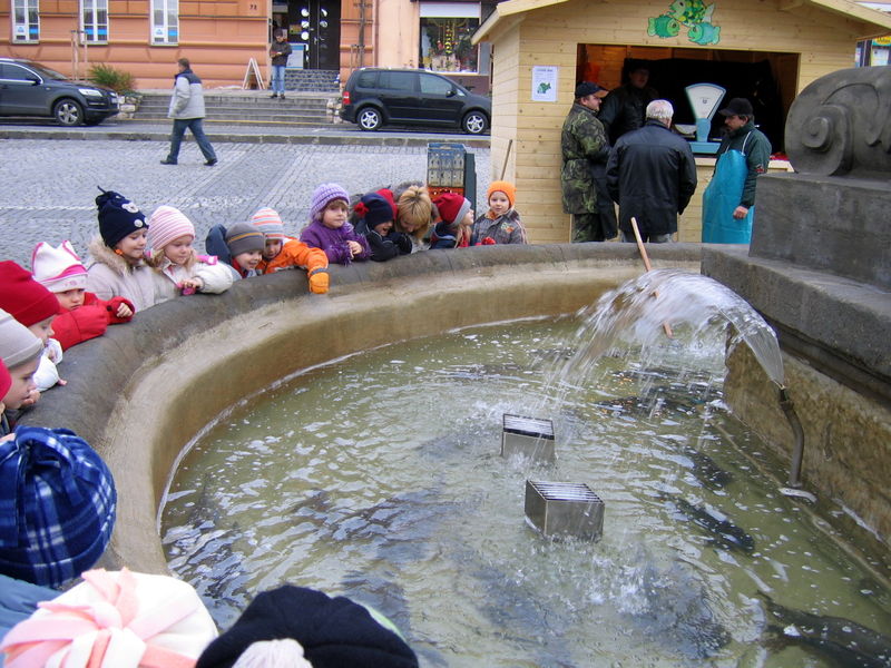 Soubor:Christmas carps in public fountain Vánoční kapři v kašně.jpg