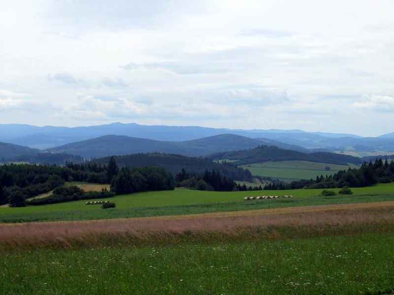 Soubor:Na Branišovských lukách.jpg