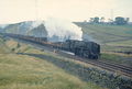 "Western Star" - geograph.org.uk - 314991.jpg