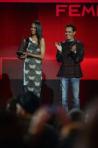 Soubor:2013 American-music-awards-2024.jpg