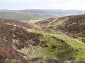 (A third) bell pit near the head of Whimsey Cleugh - geograph.org.uk - 1289325.jpg