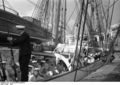 Bundesarchiv B 145 Bild-F018204-0011, Lissabon, Segelschulschiff "Gorch Fock".jpg