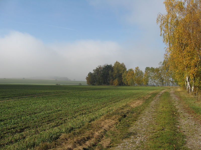 Soubor:Autumn-TheCzechRepublic-Vysocina.jpg