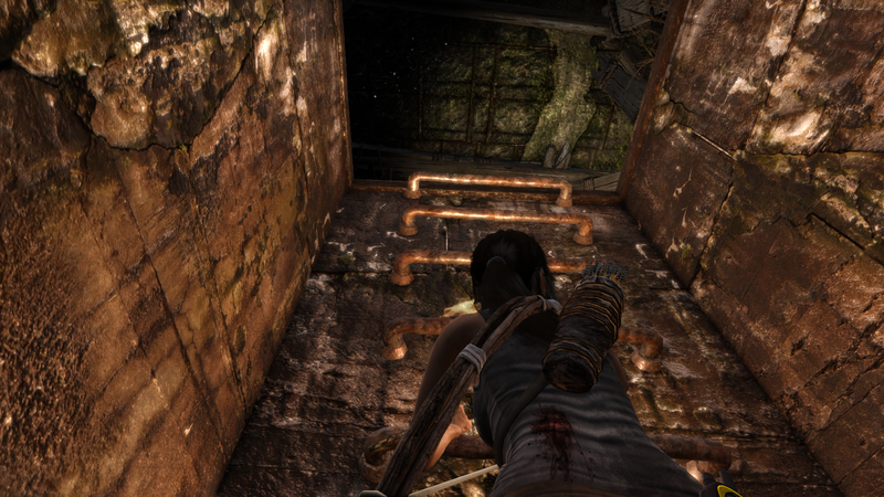 Soubor:Tomb Raider GOTY-2013-028.png