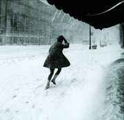Miniskirts in snow storm.jpg