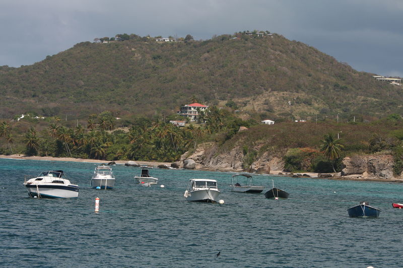 Soubor:Boats in Esperanza, Vieques, Puerto Rico.jpg