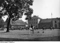 Bundesarchiv B 145 Bild-F003925-0010, Celle, Landgestüt.jpg