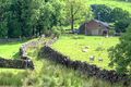 'Green' Lane at Hollin Bush Farm - geograph.org.uk - 846594.jpg