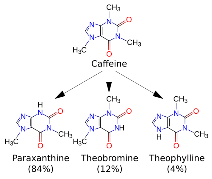 Soubor:Caffeine metabolites.png